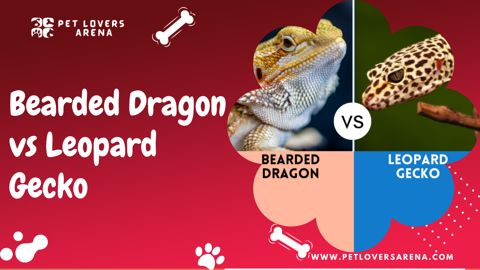bearded dragon vs leopard gecko