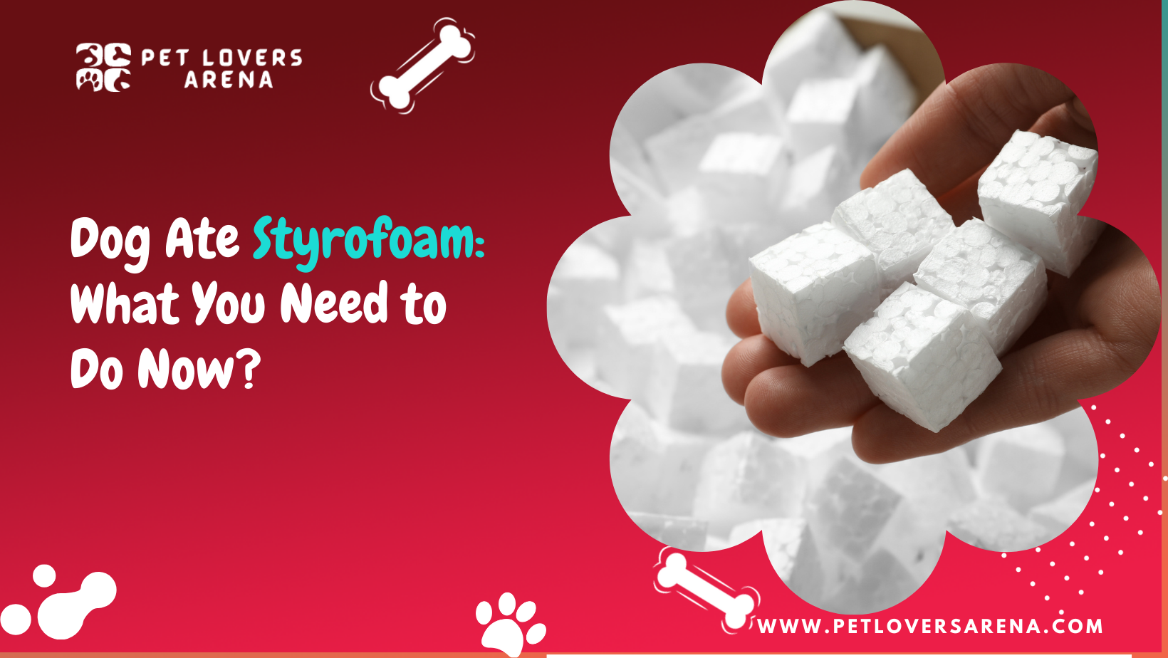 Dog Ate Styrofoam