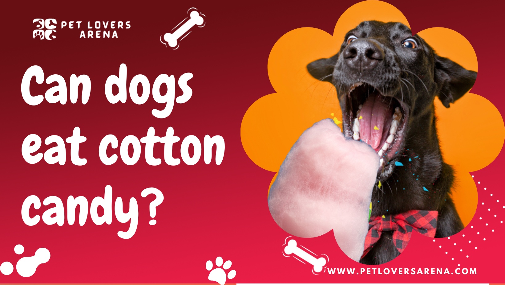 can dogs eat cotton candy