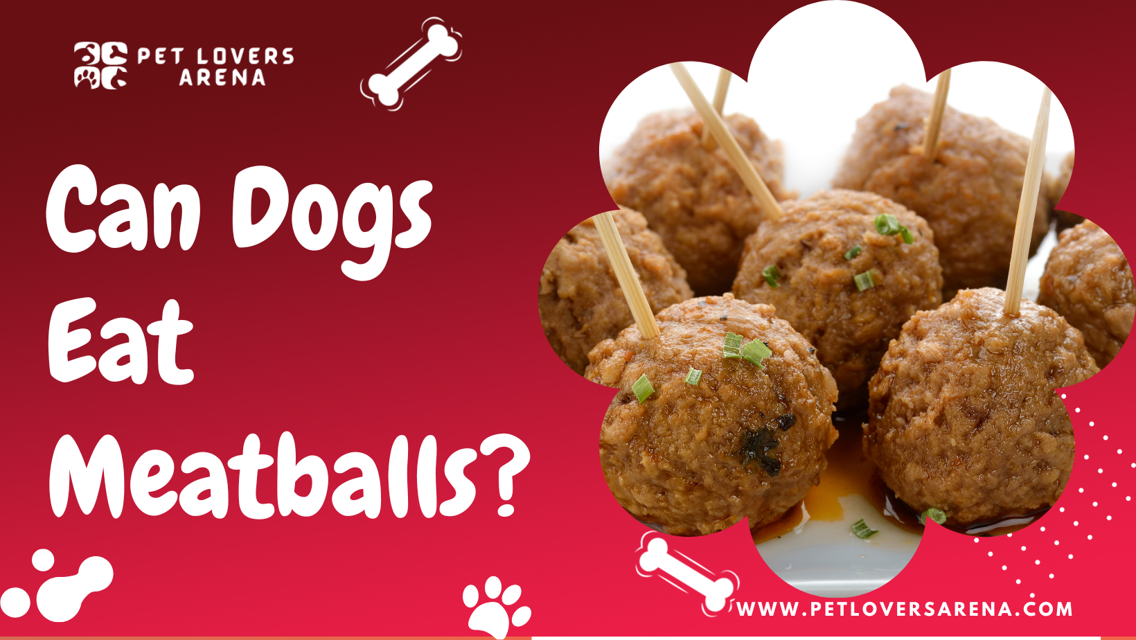 can dogs eat meatballs