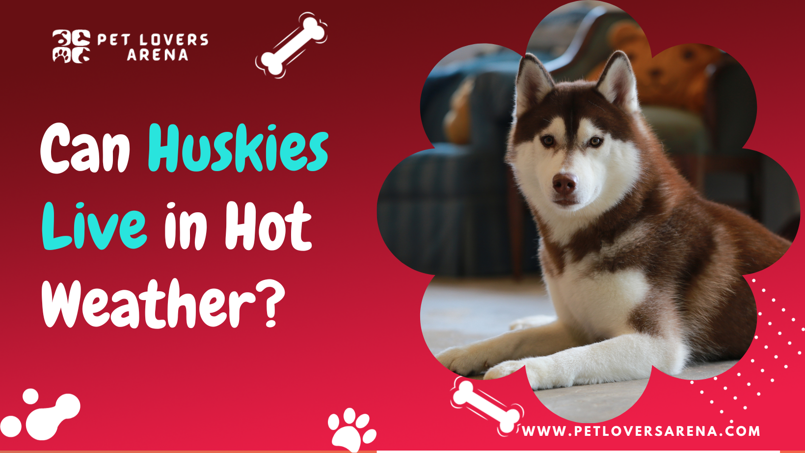 can huskies live in hot weather