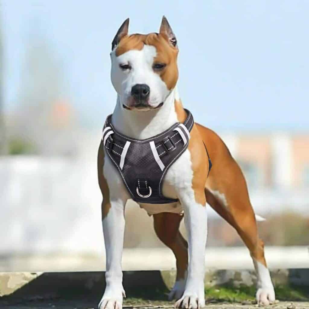 BABYLTRL Big Dog Harness No Pull Adjustable Pet Reflective Oxford Soft Vest for Large Dogs Easy Control Harness