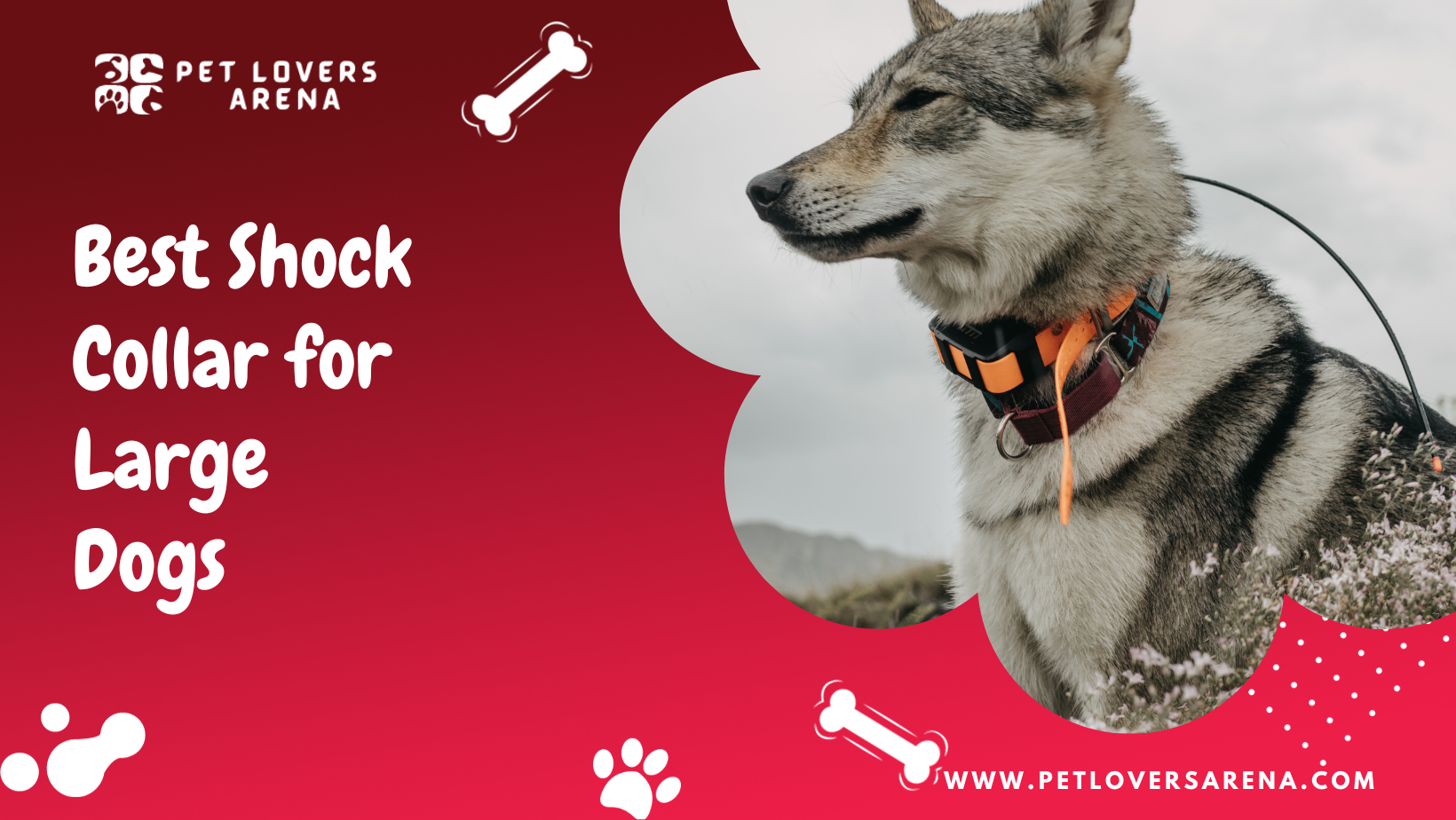 best shock collar for large dogs