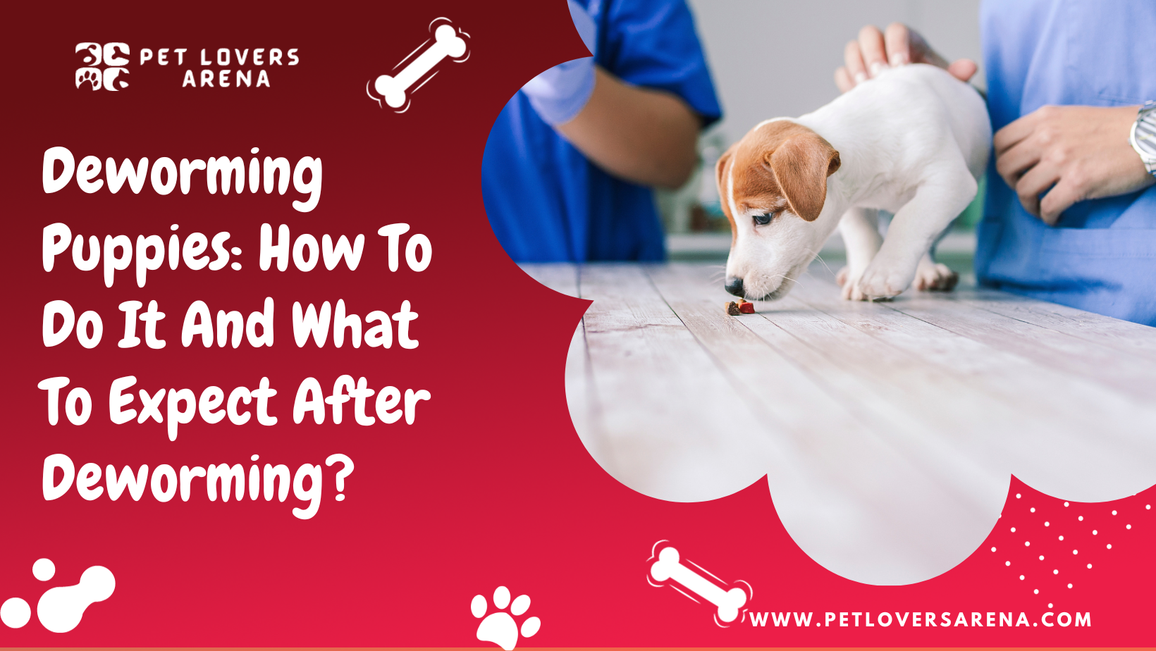 what to expect after deworming a puppy