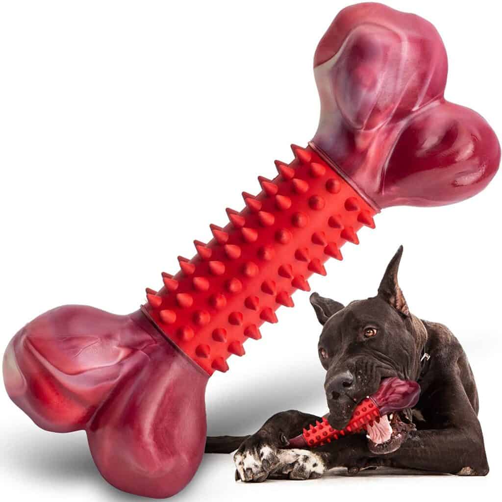 Apasiri Tough Dog Bone Toy