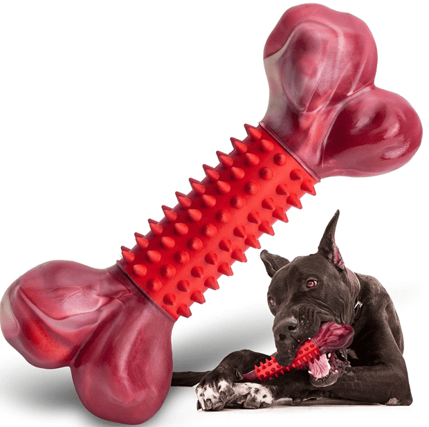 Apasiri Tough Dog Bone Toy