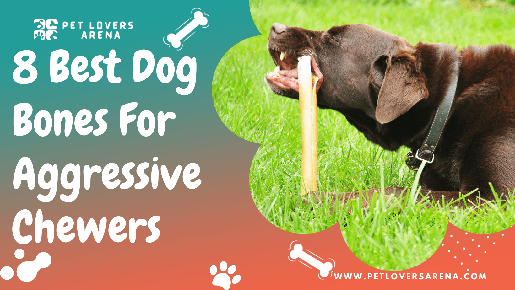 best dog bones for chewers