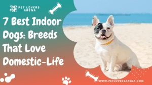 best indoor dogs
