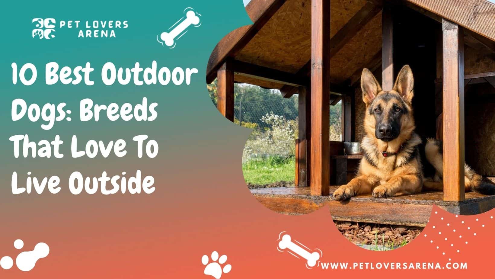 10 Best Outdoor Dogs: Breeds That Love to Live Outside