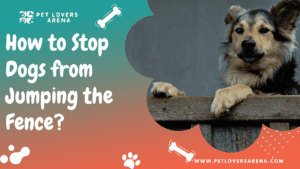 stop dog jumping fence