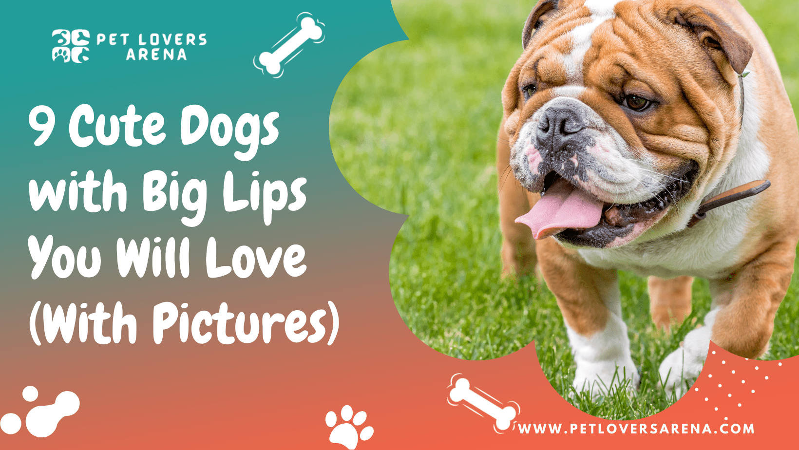 dog with big lips