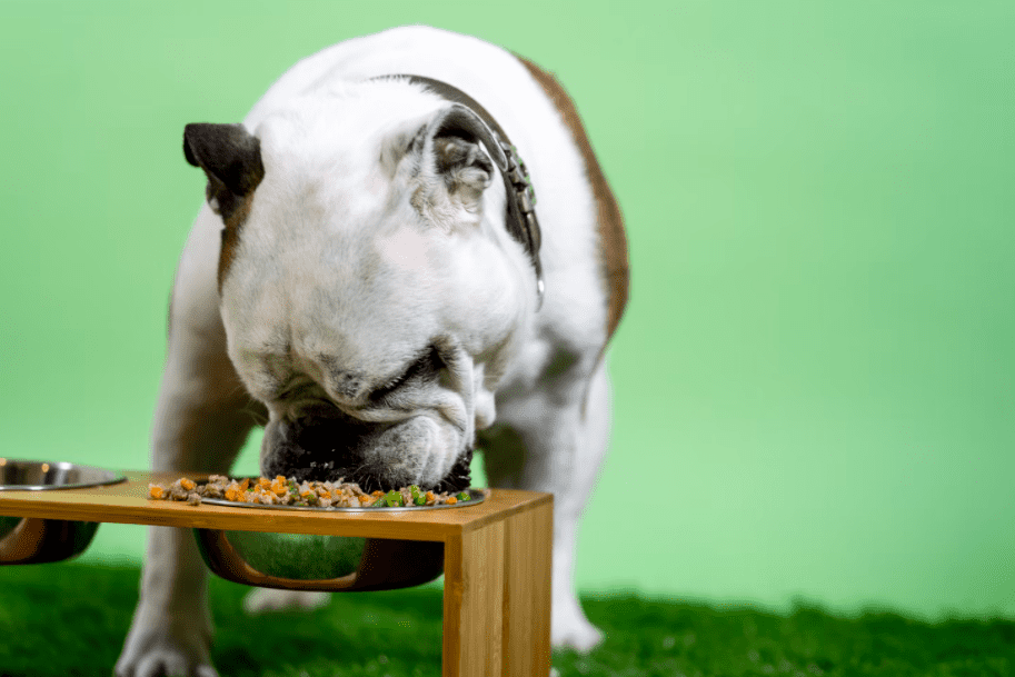 How Long Should a Dog Stay on the Chicken and Rice Diet