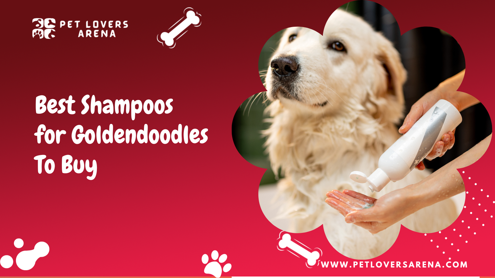 Best Shampoos for Goldendoodles