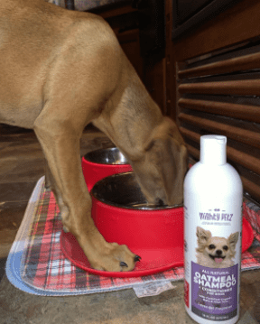Mighty Petz 2-in-1 Oatmeal Dog Shampoo and Conditioner Customer Review