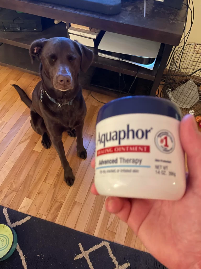 Can I Put Aquaphor on My Dog