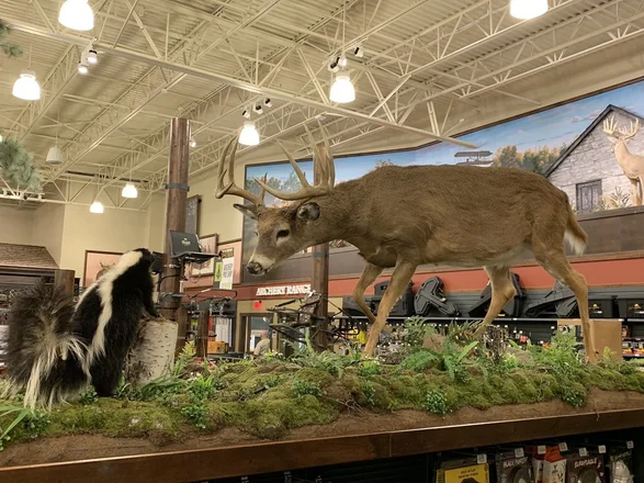 What's Customer's Review of Cabela's Dog Policy