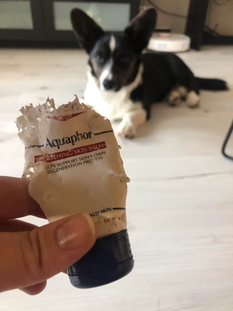 Why Would My Dog Eat Aquaphor