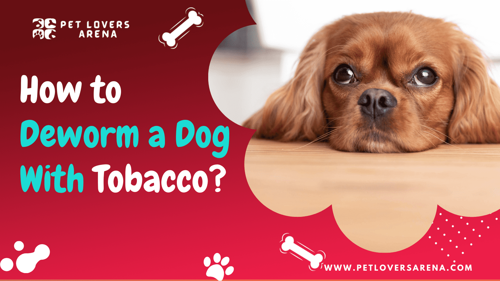 how to deworm a dog with tobacco