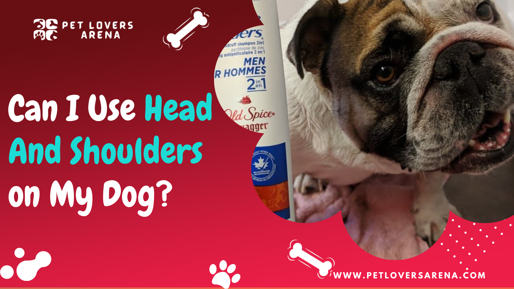 Can I Use Head And Shoulders on My Dog