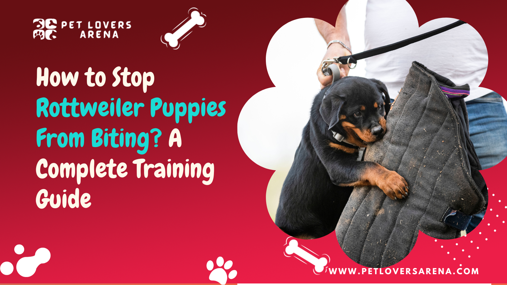 How to Stop Rottweiler Puppies From Biting?