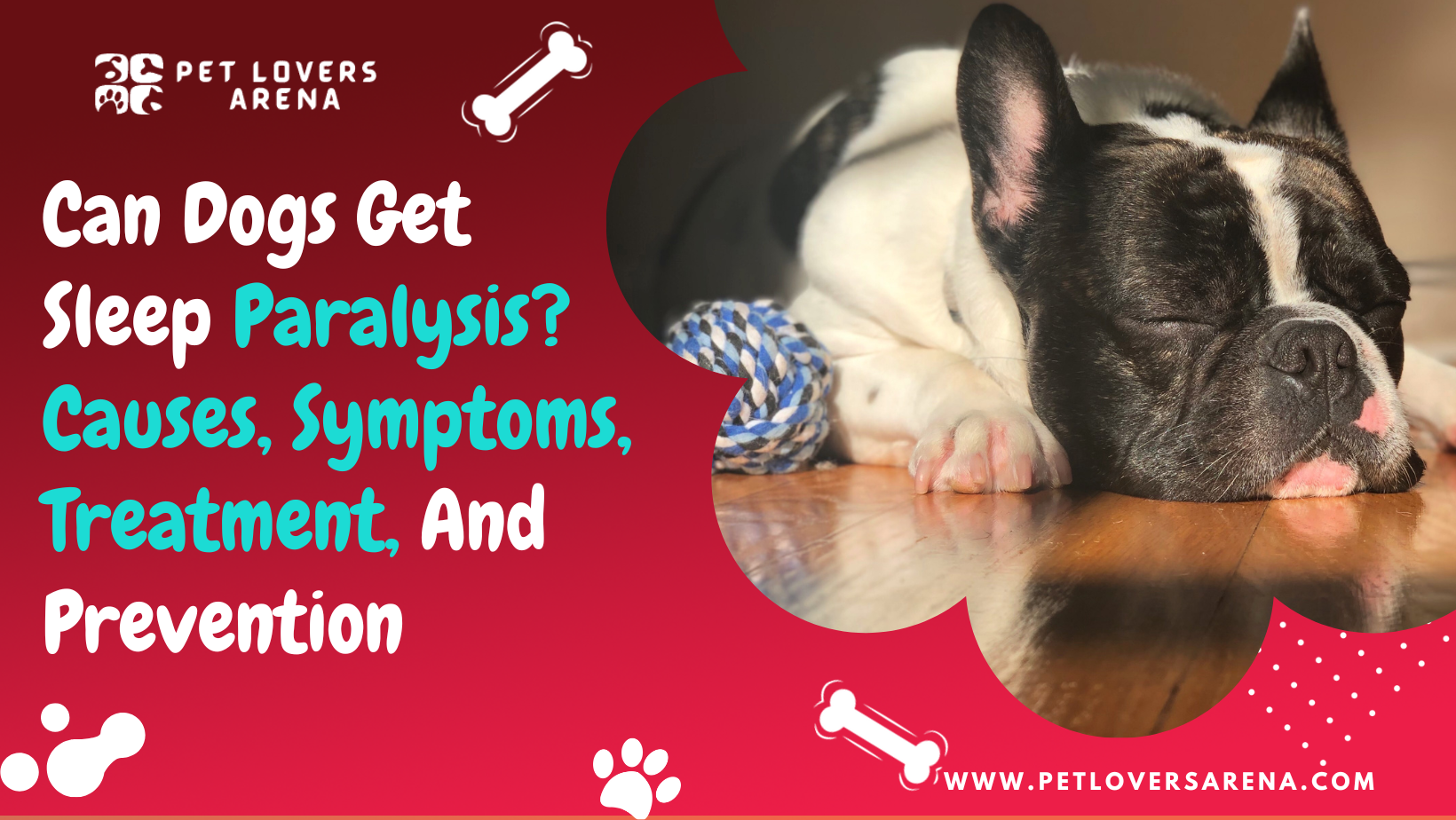 can dogs get sleep paralysis
