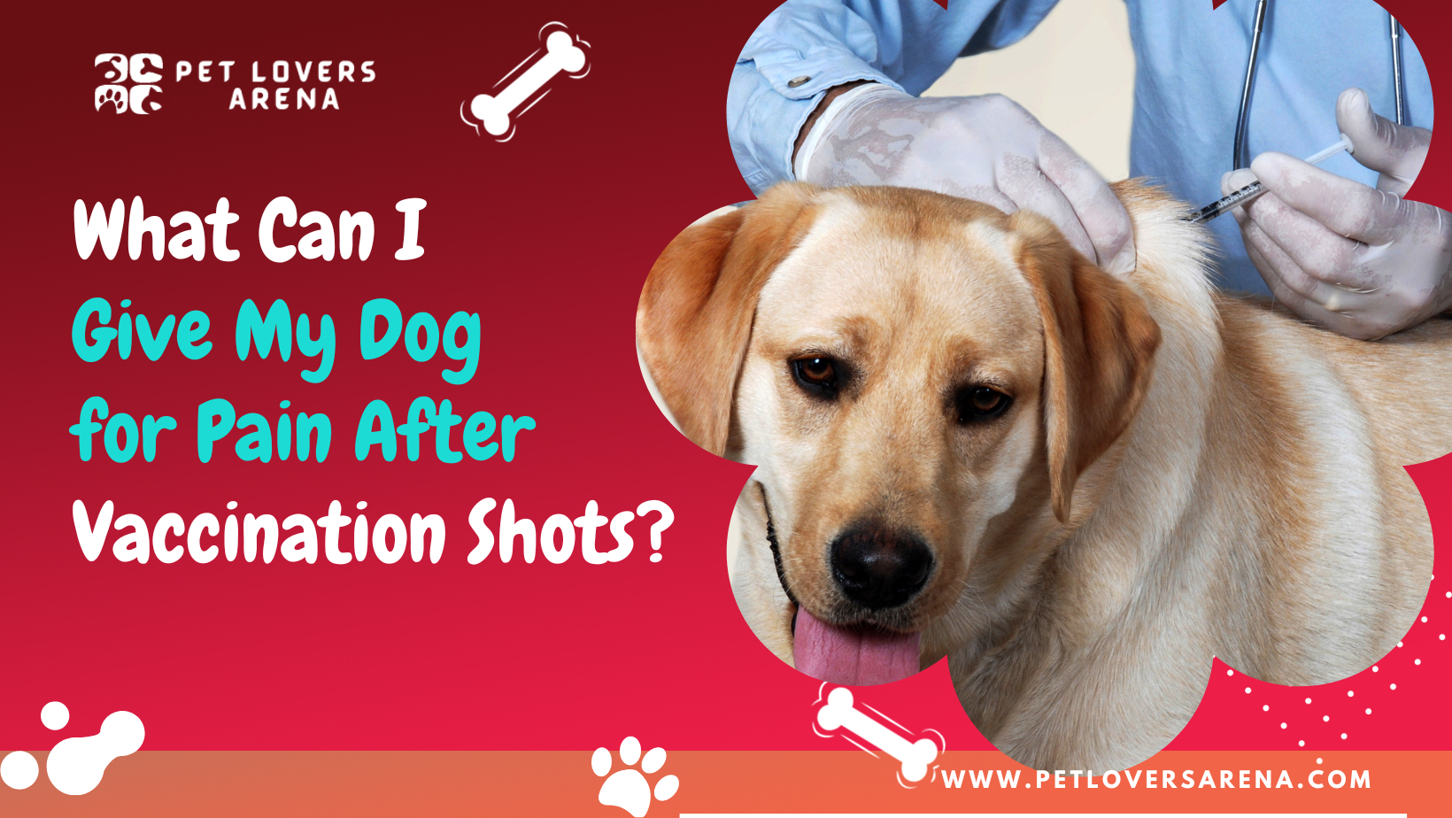 what can i give my dog for pain after shots