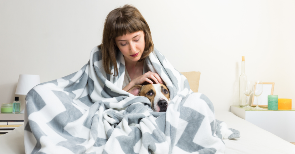 Should You Wake Up Your Dog When It Has a Bad Dream?