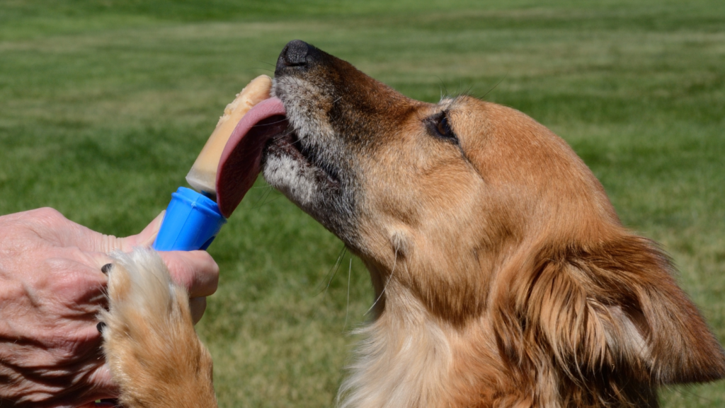 How Can I Prevent My Dog From Licking Cold Stuff?