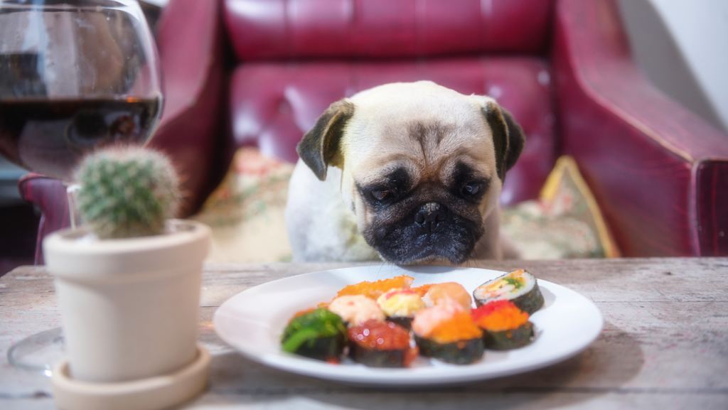 Let your pug be on a diet