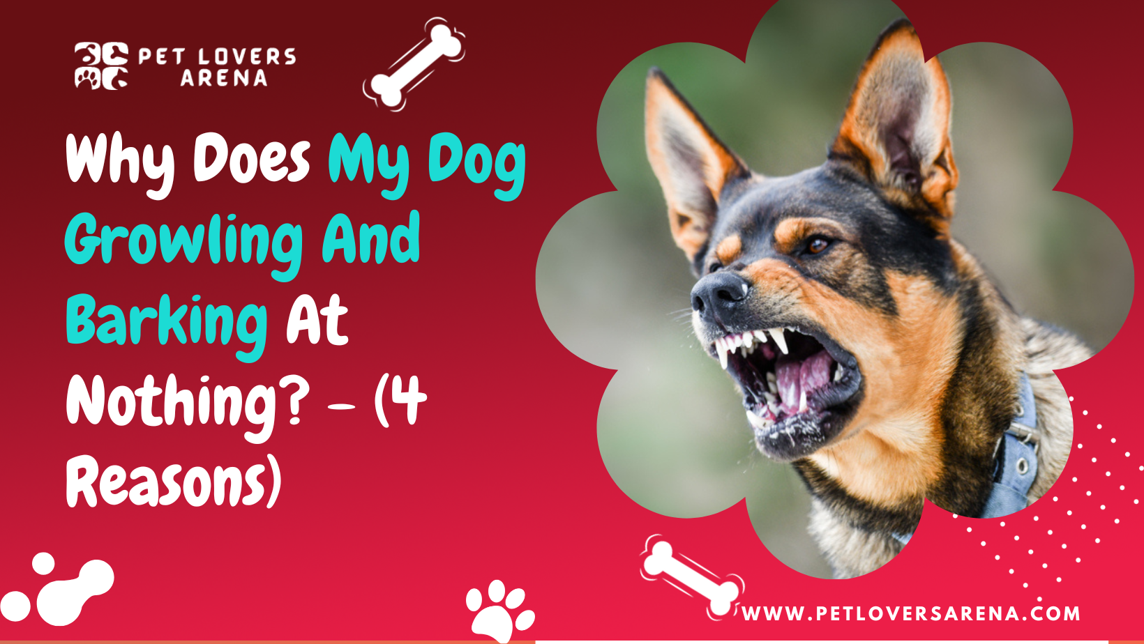 Why Does My Dog Growling And Barking At Nothing? – (4 Reasons)