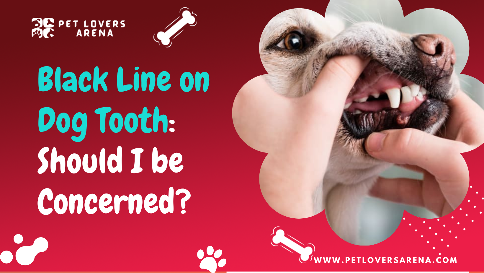 Black Line on Dog Tooth