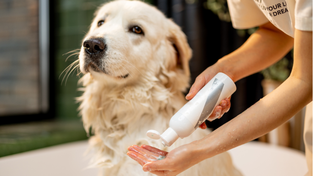 Cost of Dog Shampoo