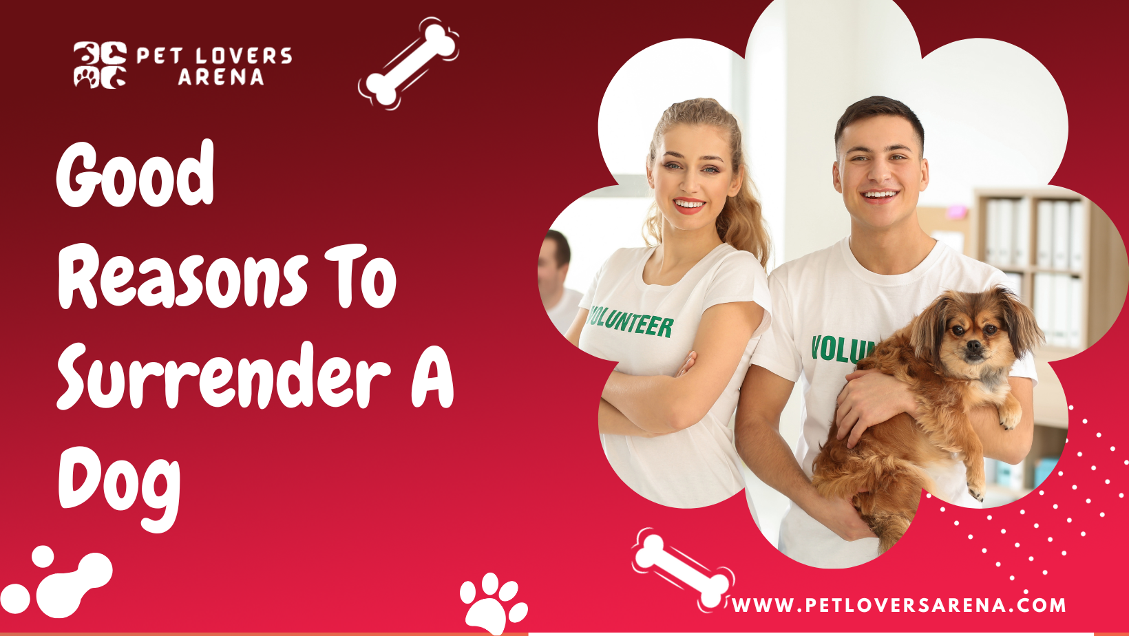 good reasons to surrender a dog