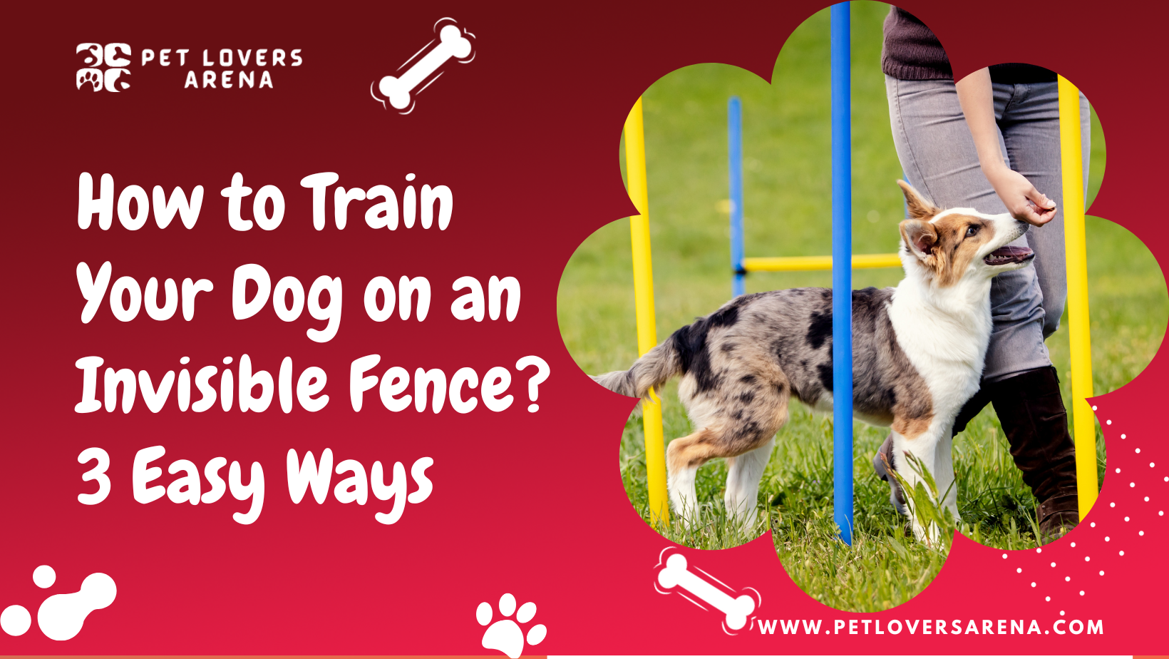 how to train dog on invisible fence