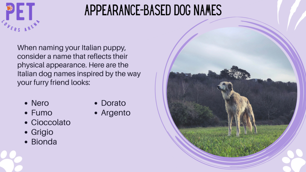 Appearance-Based Dog Names