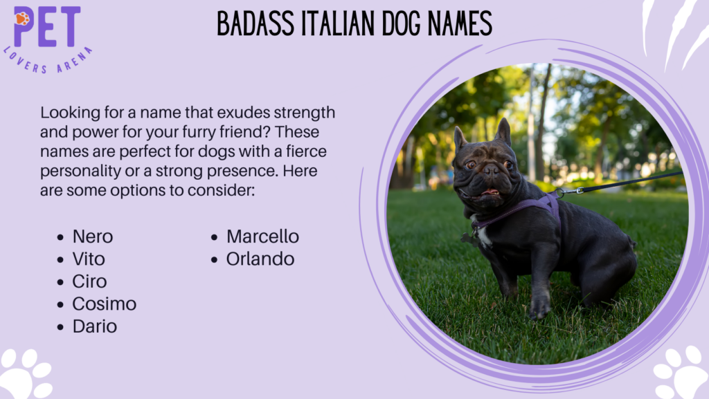 Badass Italian Dog Names