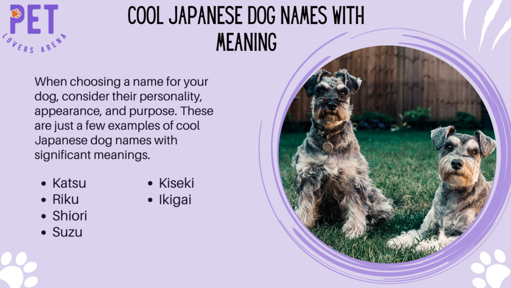 Cool Japanese Dog Names with Meaning
