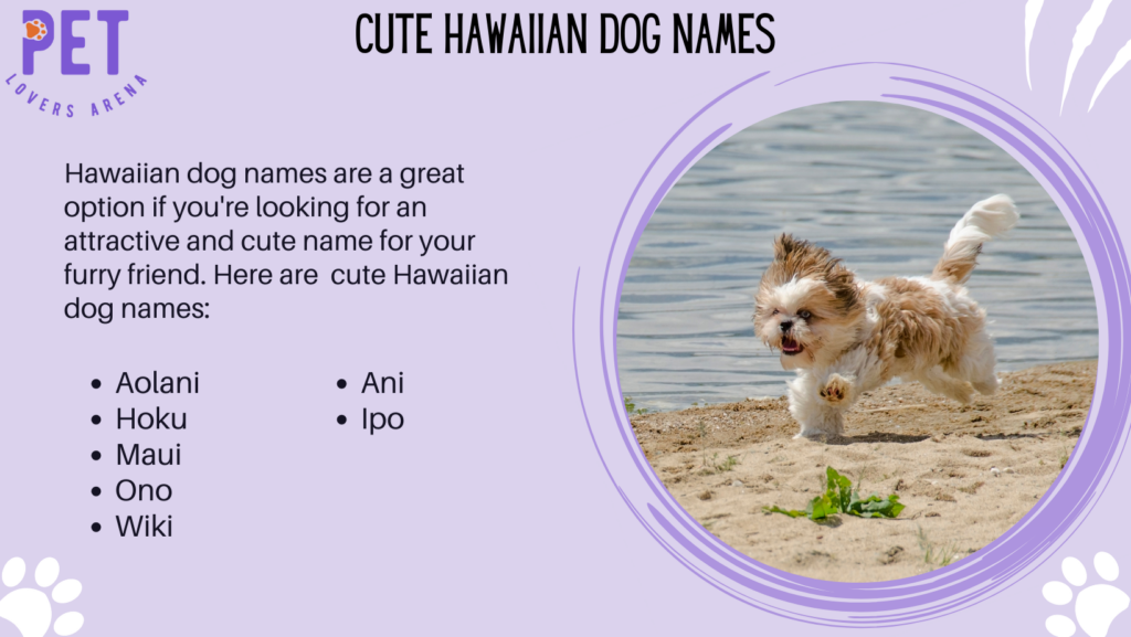 Cute Hawaiian Dog Names