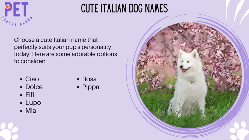 Cute Italian Dog Names