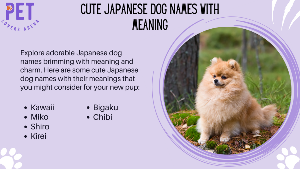 Cute Japanese Dog Names with Meaning