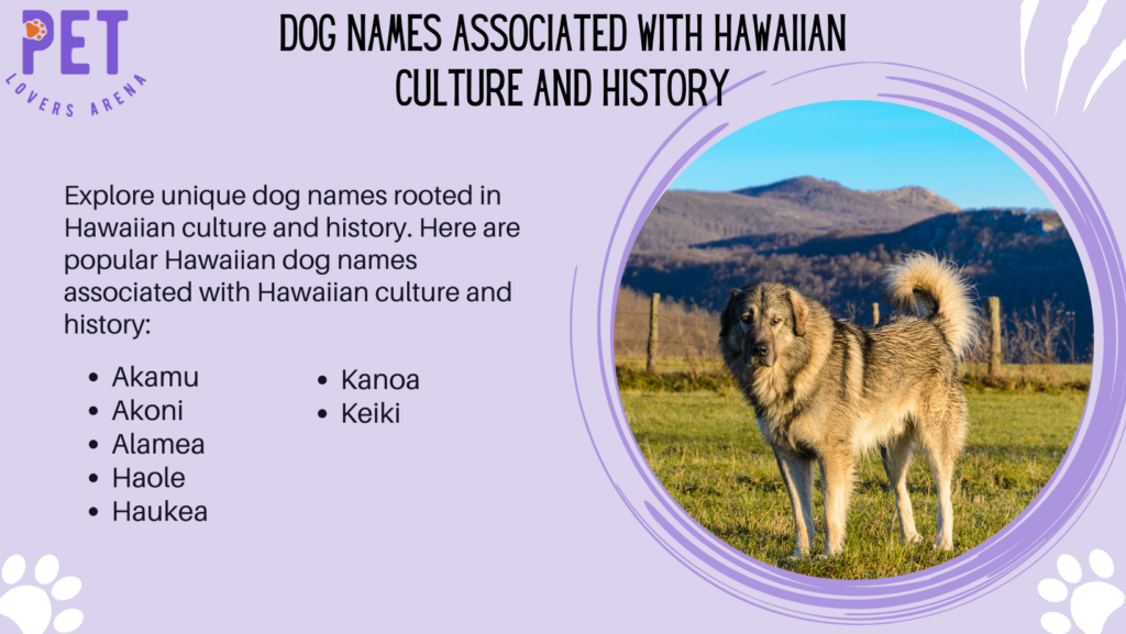 Dog Names Associated with Hawaiian Culture and History