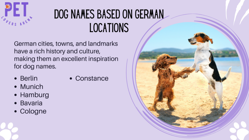 Dog Names Based on German Locations