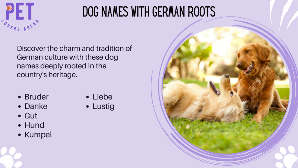 Dog Names with German Roots
