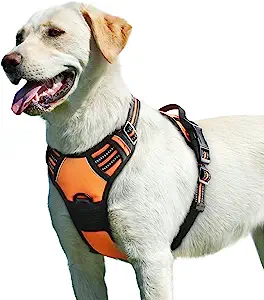 Eagloo No-Pull Dog Harness