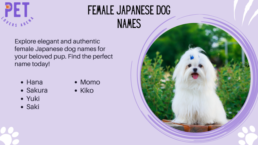 Female Japanese Dog Names