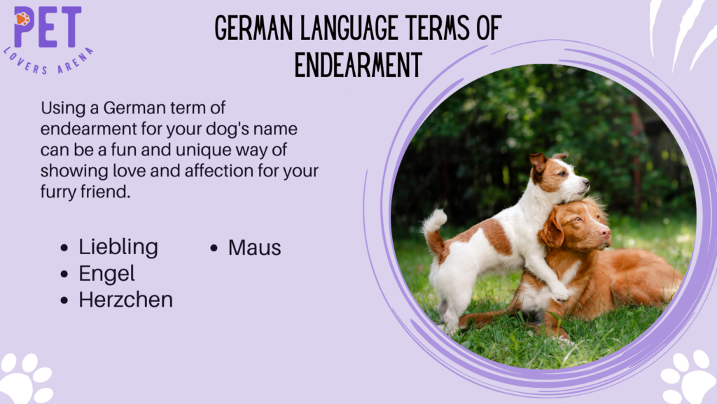 German Language Terms of Endearment 