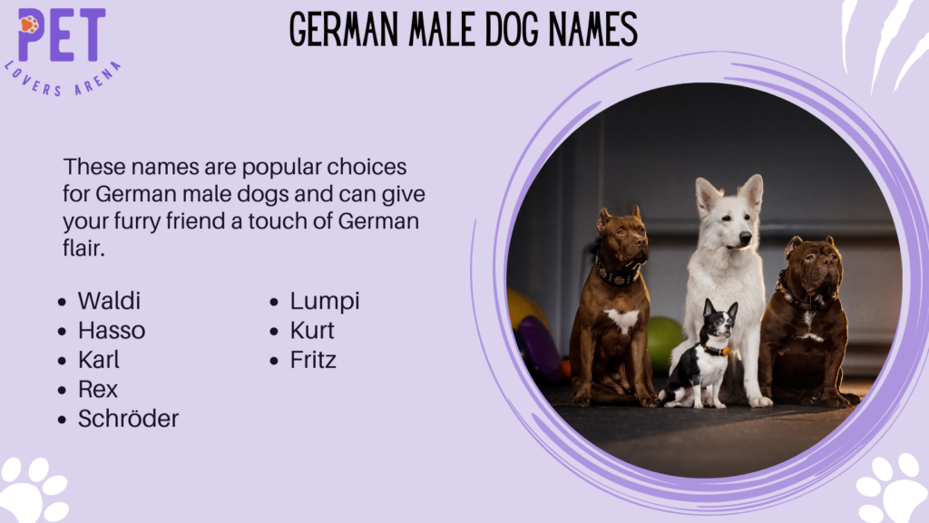 German Male Dog Names