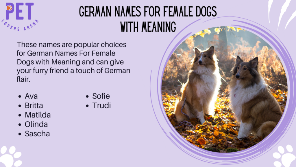 German Names For Female Dogs with Meaning