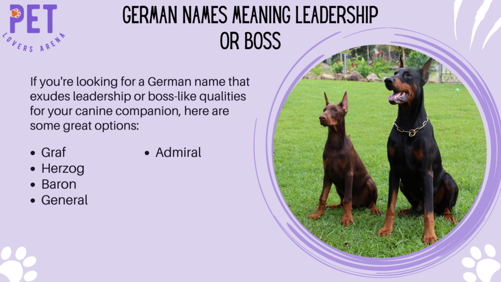 German Names Meaning Leadership or Boss