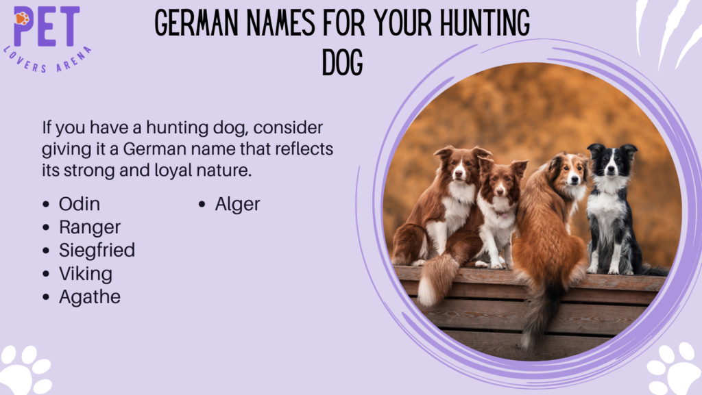 German Names for Your Hunting Dog